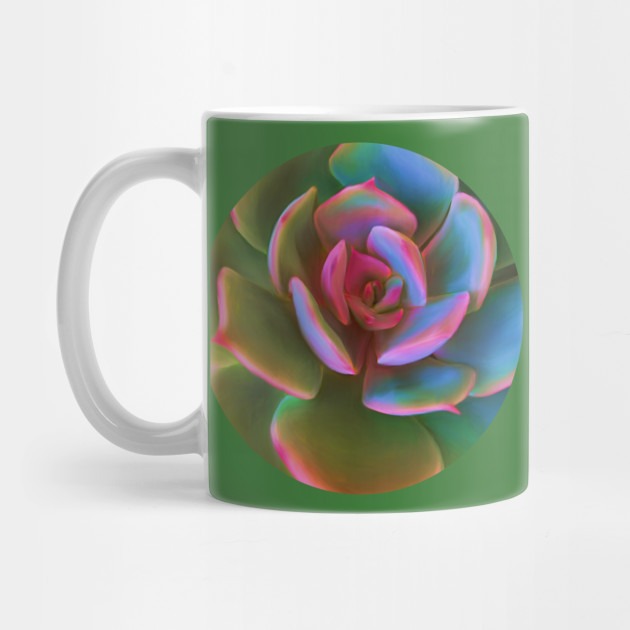 Pink Succulent